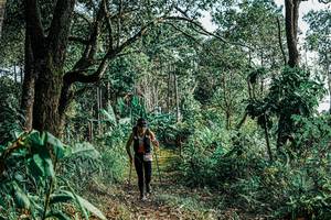 BIB: 
                            <button type="button" onclick="openModal(25660614)" class="btn btn-primary btn-sm float-right btn-popup" data-toggle="modal" data-target=".modal-high-quality">
                        <i class="fas fa-shopping-cart"></i> Add to Cart
                    </button>
                                            <button type="button" onclick="isThisMe(25660614, true)" class="btn btn-success btn-sm float-right btn-popup btn-isme hidden" data-toggle="tooltip" data-placement="bottom" title="นี่คือรูปของคุณใช่ไหม คลิกที่นี่เพื่อเอาเข้าอัลบั้ม">
                        <i class="fas fa-plus"></i> Add to album
                    </button>
                    <button type="button" onclick="isThisMe(25660614, false)" class="btn btn-warning btn-sm float-right btn-popup btn-isnotme hidden">
                        <i class="fas fa-ban"></i> Remove from album
                    </button>